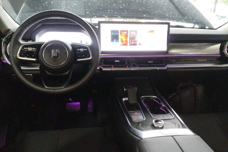 Used Tank 400 2025 2.0T Gasoline Version
