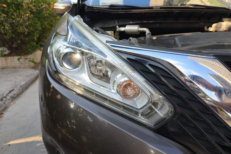 Used Nissan Murano 2019 2.5L XE Two-Wheel Drive Elite Version China V Standard
