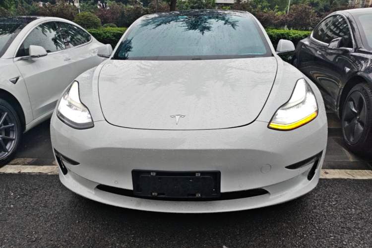 Used Tesla Model 3 2019 Long-Range All-Wheel-Drive Version
