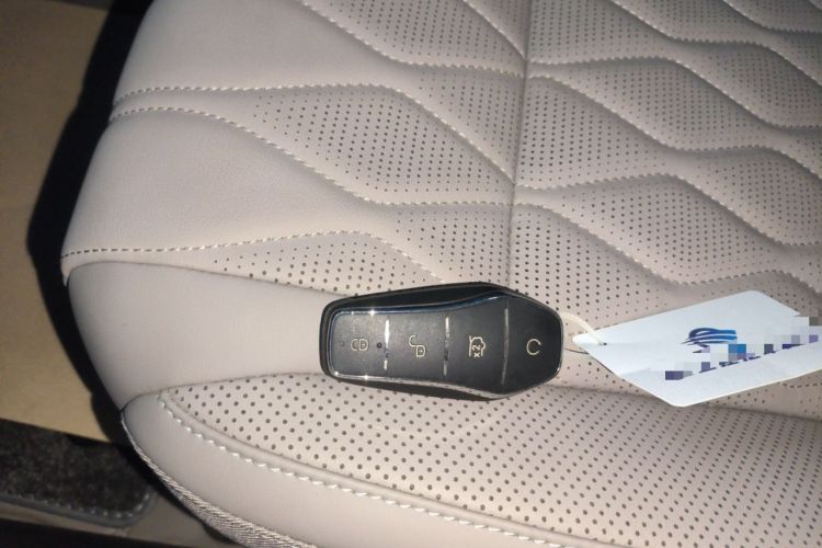 Used BYD Tang New Energy 2025 Intelligent Driving Version DM-i 115KM Prestige Edition
