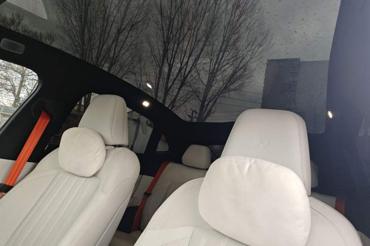 Used ONVO L60 2024 60 kWh Rear-Drive Version Headliner