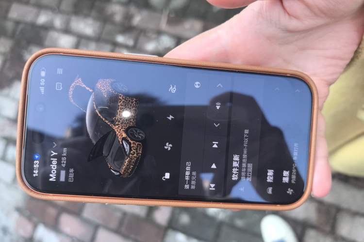 Used Tesla Model Y 2024 Rear-Wheel-Drive Version