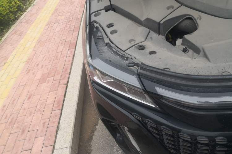 Used Landian E5 2023 1.5L DE-i 100KM Zhenxiang Edition 7-Seater