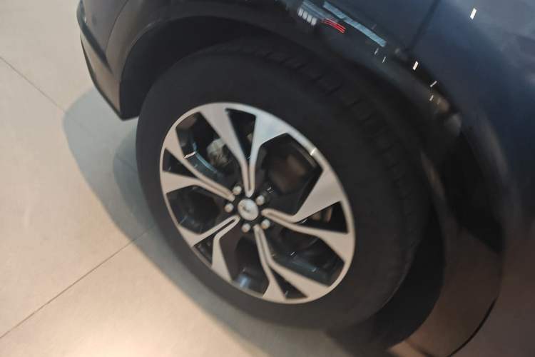 Used Ford Mustang Mach-E 2021 AION Y Plus Rear-Drive Luxury Edition (Long Range)
