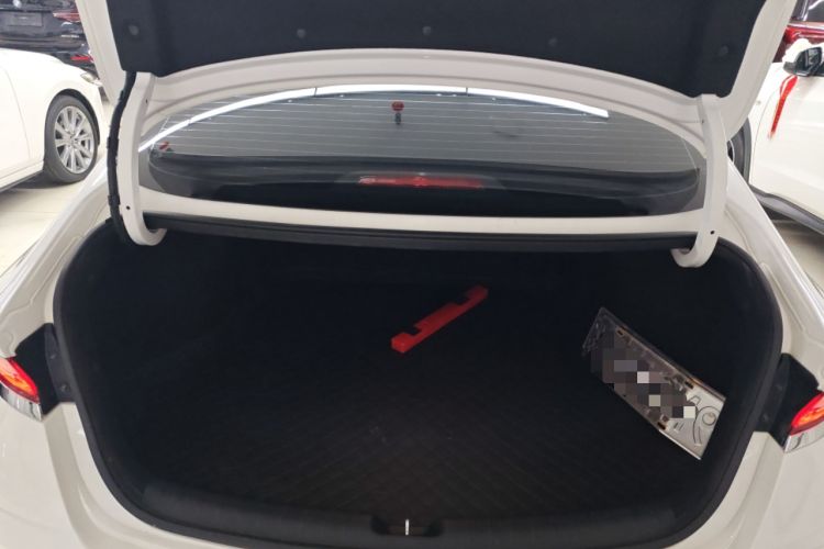 Used Hyundai Lafesta 2019 280TGDi Sport Edition China VI