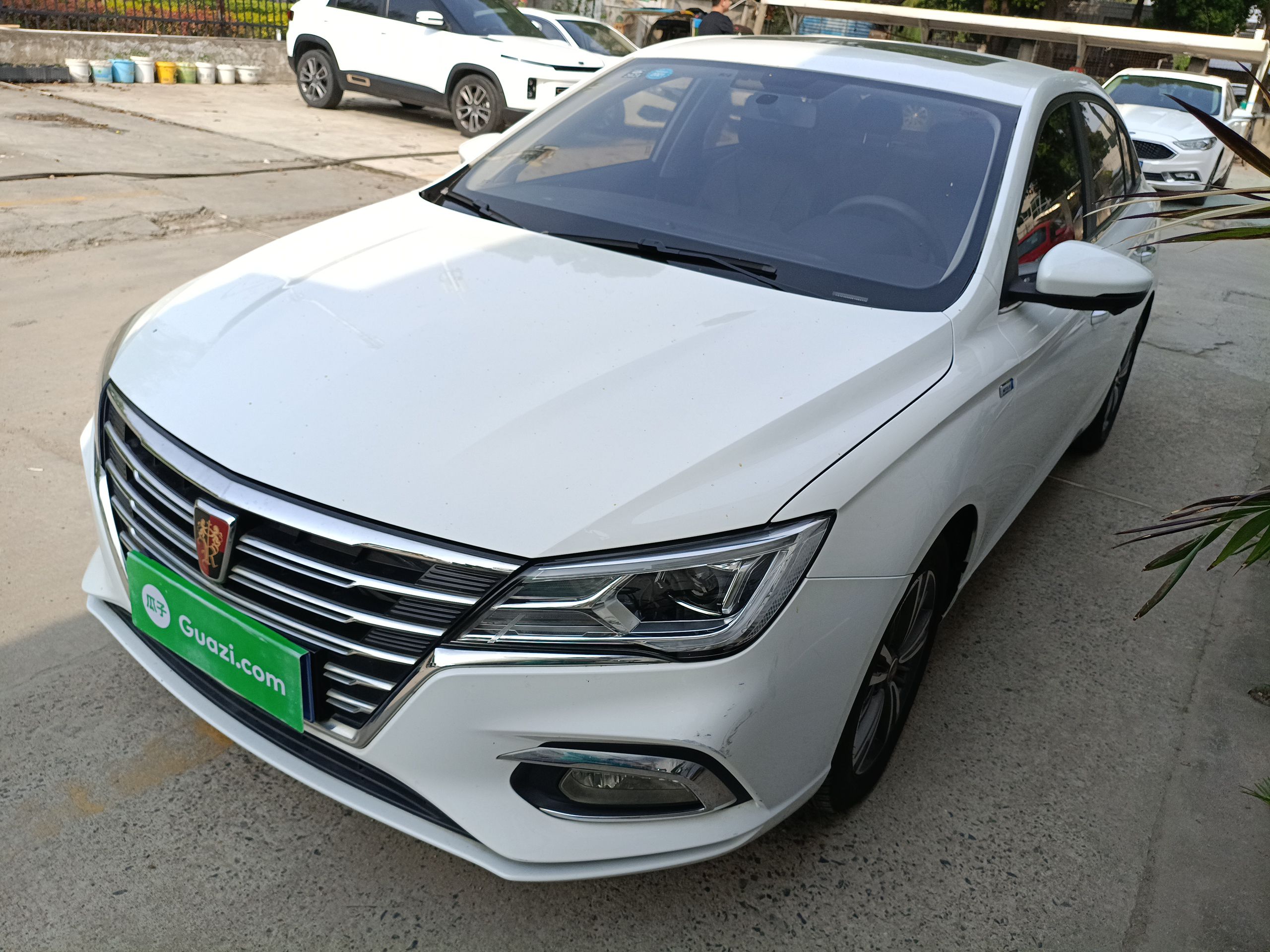 Parte inferior delantera