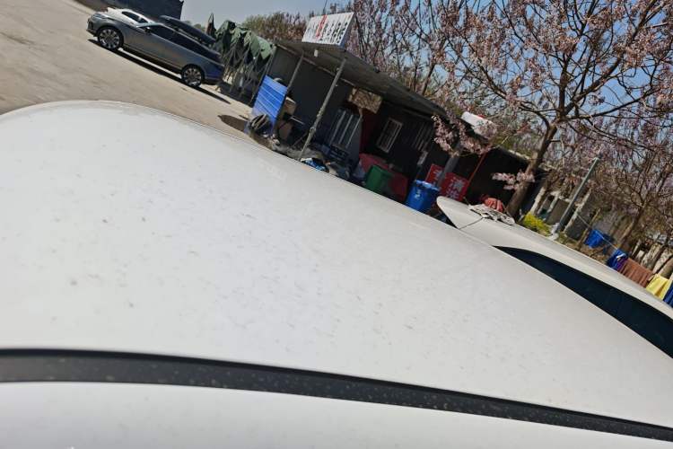 Used CHANGAN NEVO Lumin 2024 130km Qingyue Version Roof