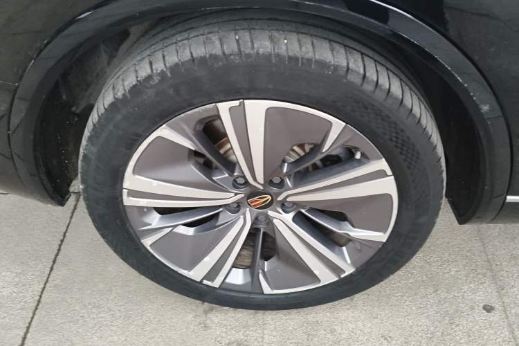 Used Hongqi E-HS9 2021 460 km Range Flagship Edition Six-Seater
