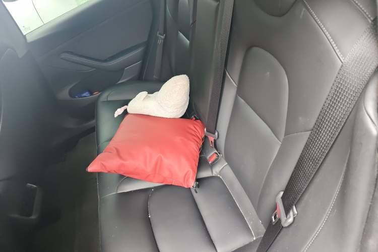 Used Tesla Model 3 2022 Rear-Wheel-Drive Version
