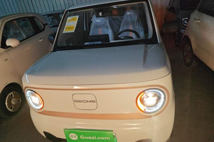 Used Geely Galaxy Panda 2024 Panda Mini 200km Longteng PRO Edition