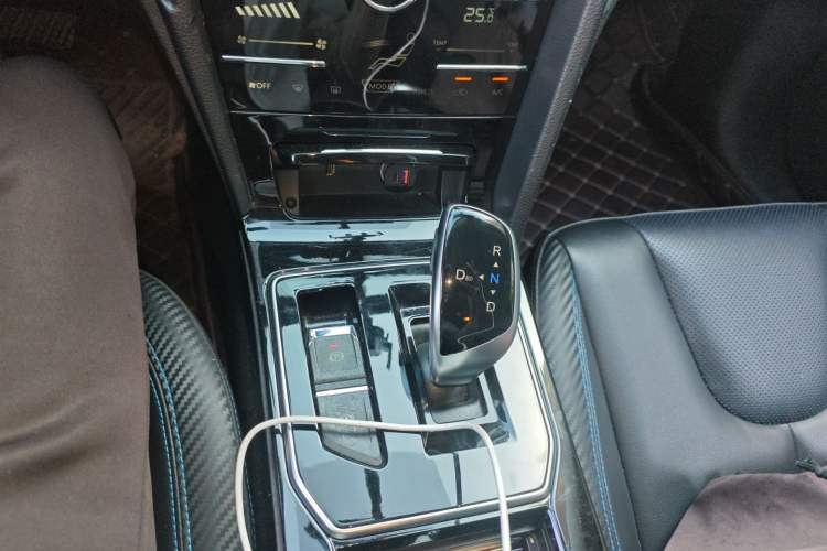 Used Venucia D60EV 2019 High-Range Deluxe Edition
