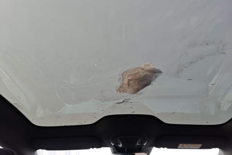 Used Hongqi EH7 2024 690 Pro