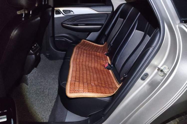 Used AION S 2023 Meizu 580 Lithium Iron Phosphate Left Rear Seat