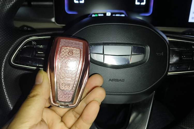 Used Geometry E Firefly 2023 401KM Linglong Tiger 5-Seater