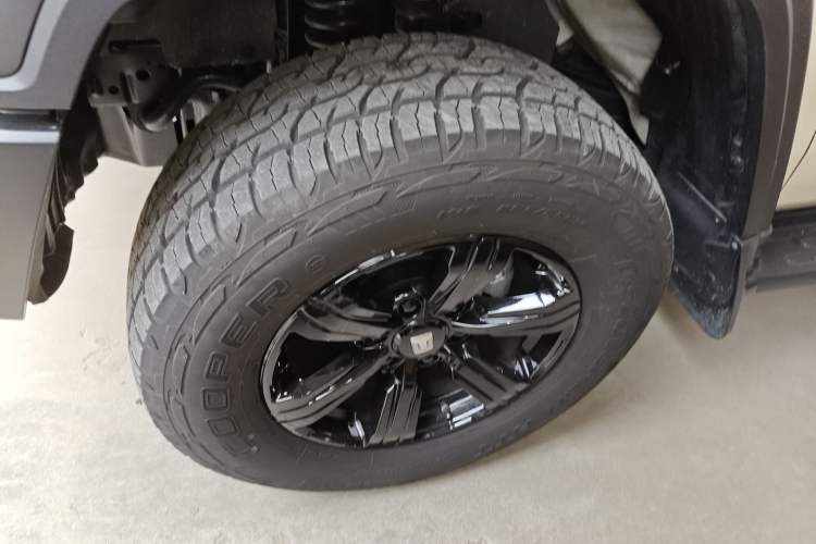 Used Tank 300 2025 2.0T Conqueror