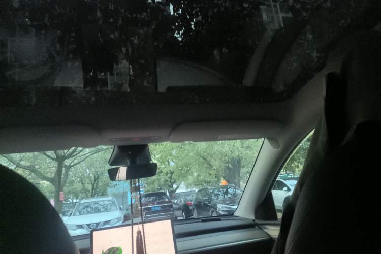 Used Tesla Model Y 2022 Rear-Wheel-Drive Version