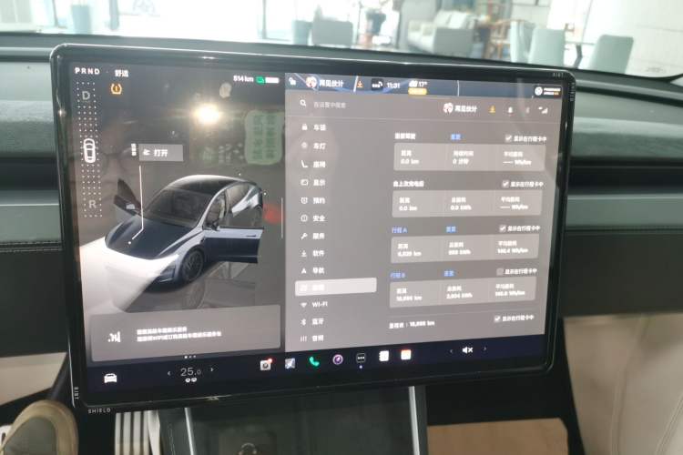 Used Tesla Model Y 2025 Long-Range All-Wheel Drive First Edition