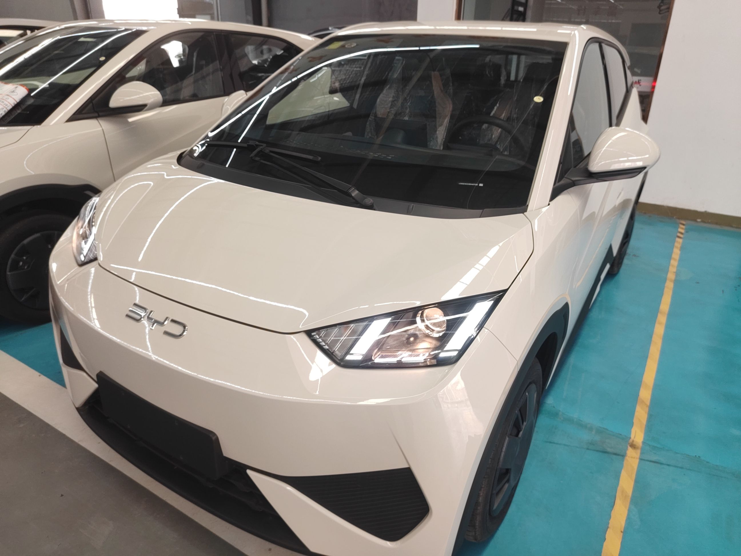 Parte inferior delantera