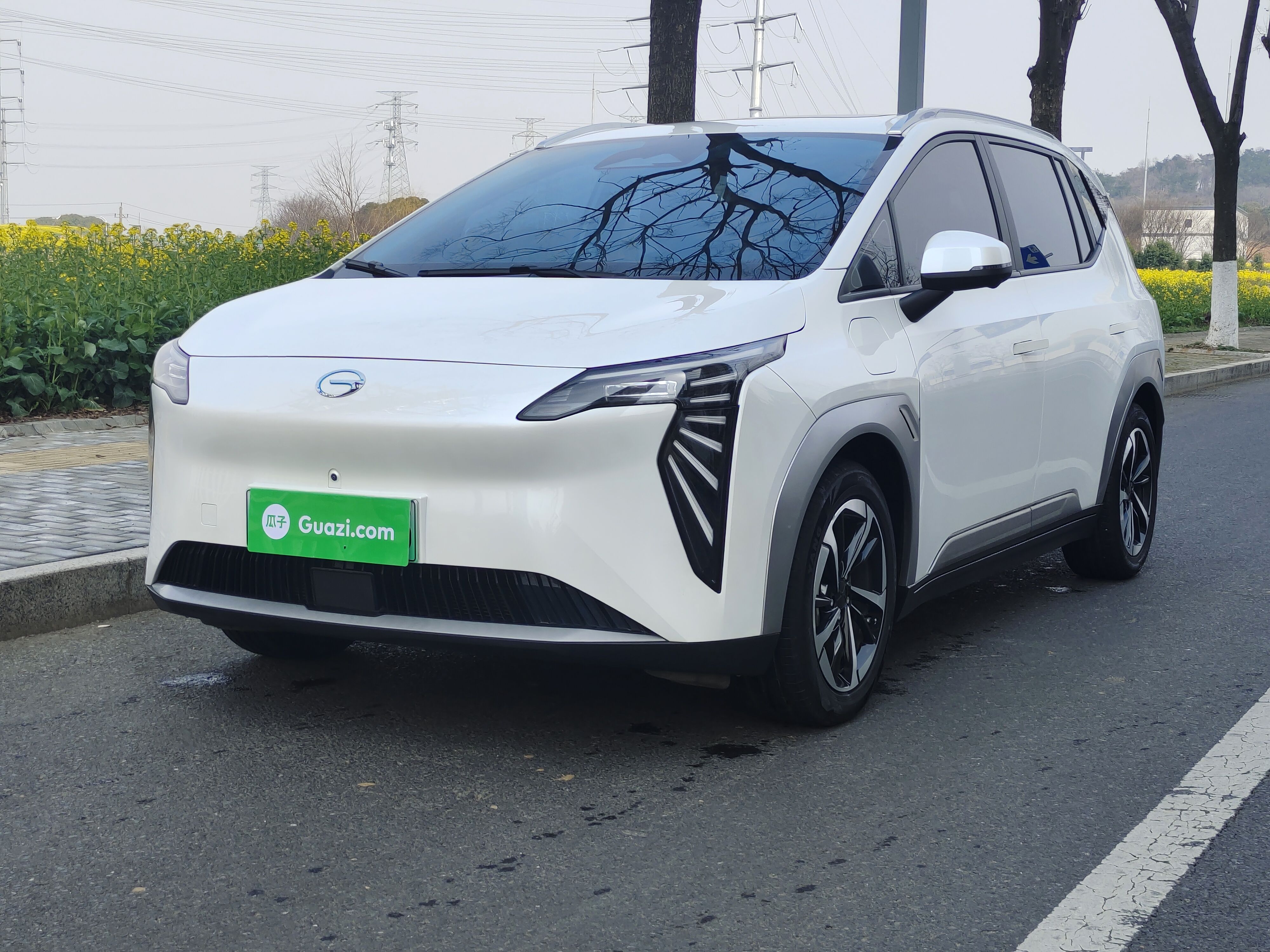 Parte inferior delantera