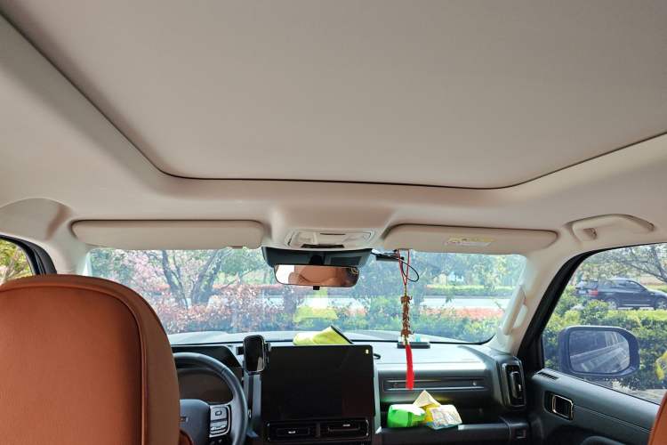 Used Haval Raptor New Energy 2024 Hi4 102 Pro Headliner