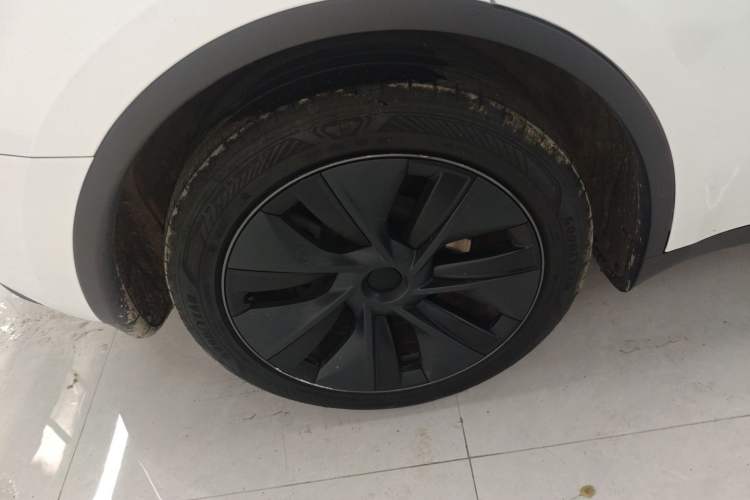 Used Tesla Model Y 2024 Rear-Wheel-Drive Version Exterior 5