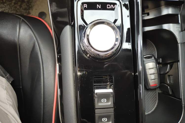 Used Haval H6 2021 3rd Generation 2.0T Automatic Two-Wheel Drive Max Gear Lever