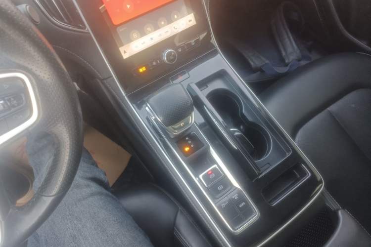 Used Rising ER6 2021 New Dynamic Edition 620km Smart Drive Version