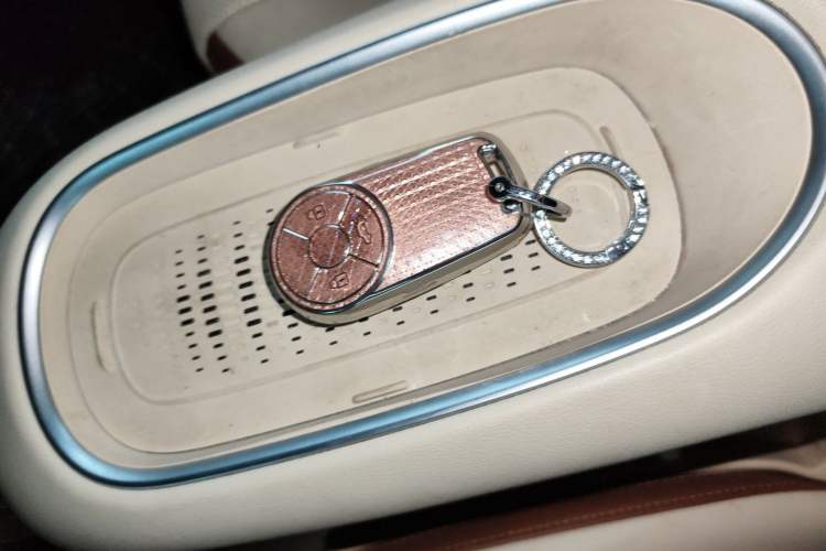 Used ORA Good Cat 2023 401 km Standard Range Prestige Version Lithium Iron Phosphate Vehicle Key