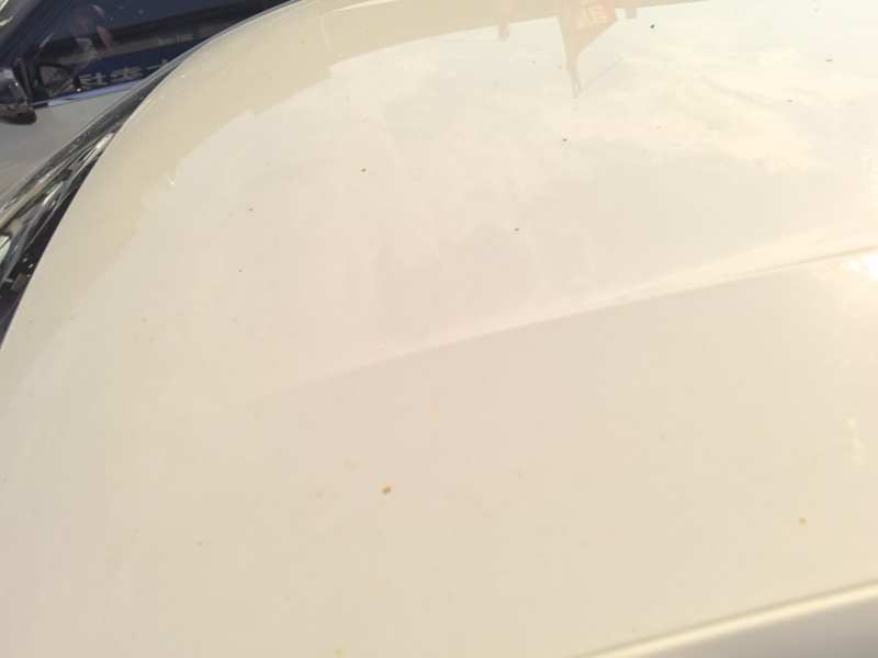 Used BYD Seagull 2025 305km Active Version — 26