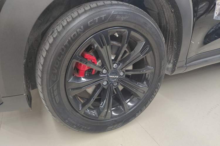 Used Haval H6S 2022 2.0T Two-Wheel Drive JoyRun Version