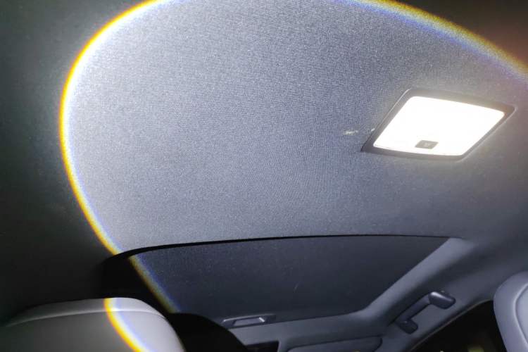 Used Lexus UX New Energy 2020 300e Pure·Joy Edition Headliner