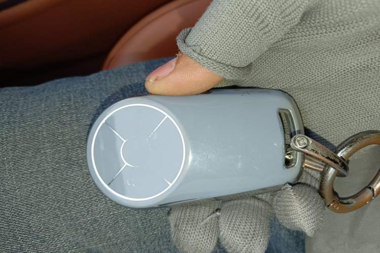 Used ORA Lightning Cat 2022 555 km Luxury Edition