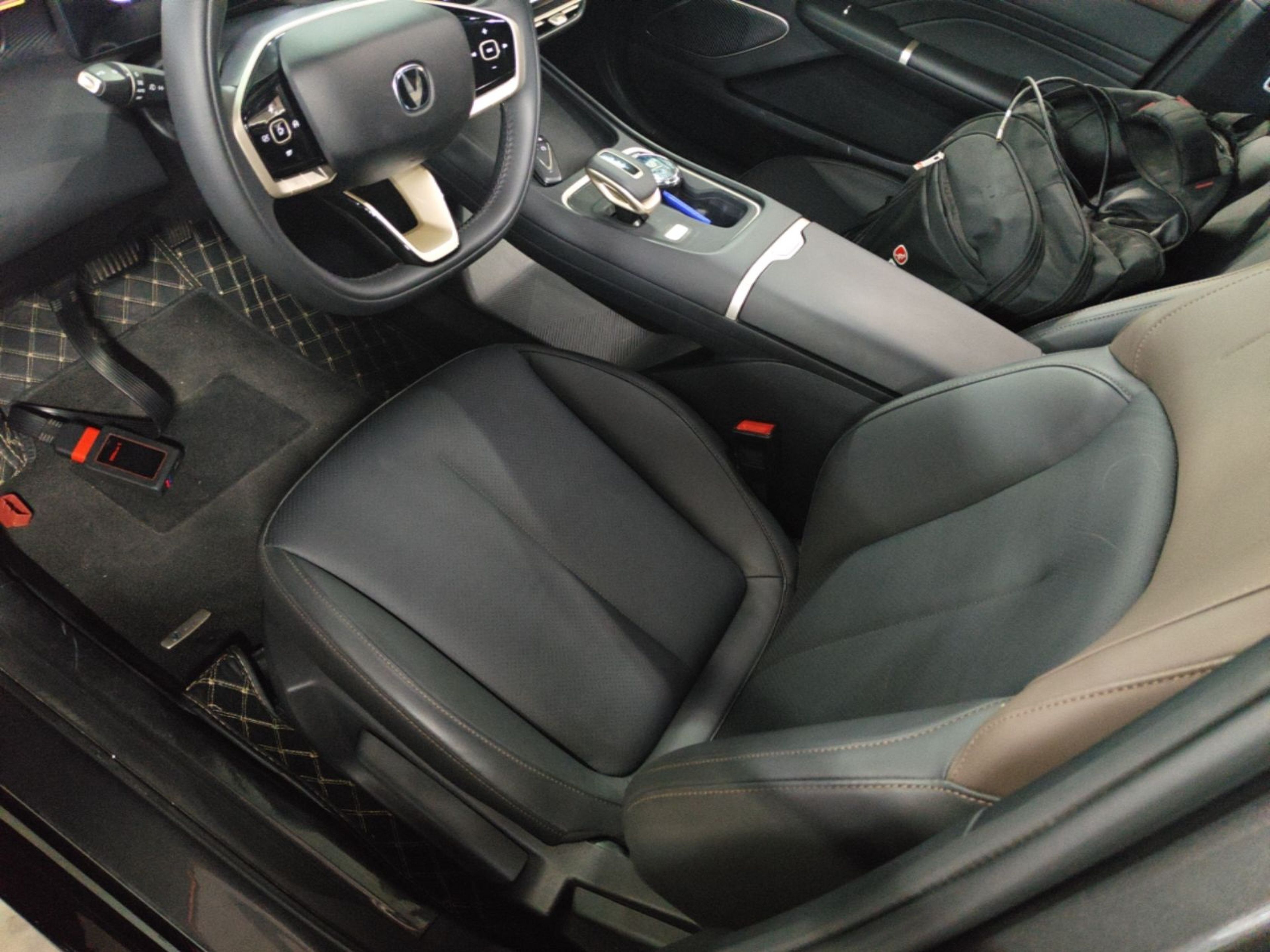Interior delantero