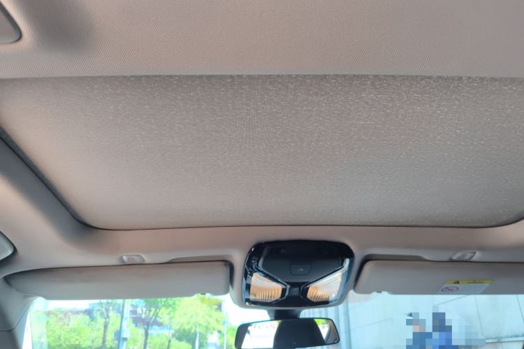 Used BMW 5 Series New Energy 2019 530Le Luxury Package