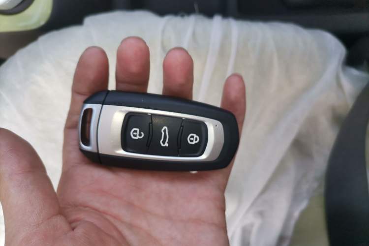 Used Geely Galaxy Panda 2024 Panda Mini 200km Endurance Bear