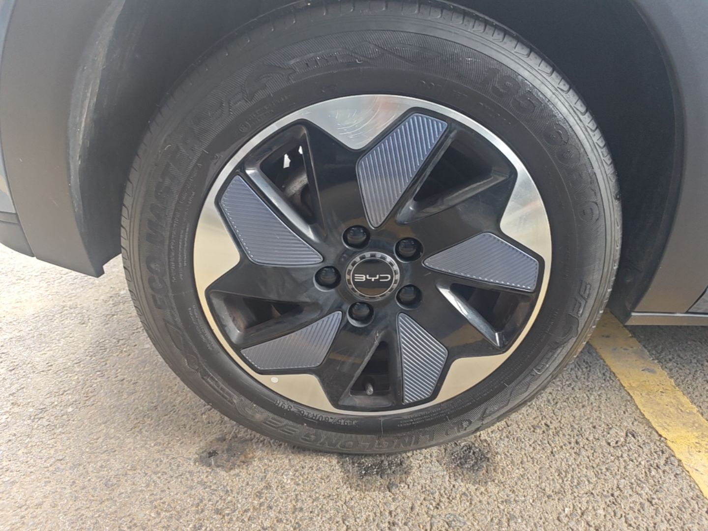 BYD Dolphin 2024 Honor Edition 420km Freedom Version — снимка 11