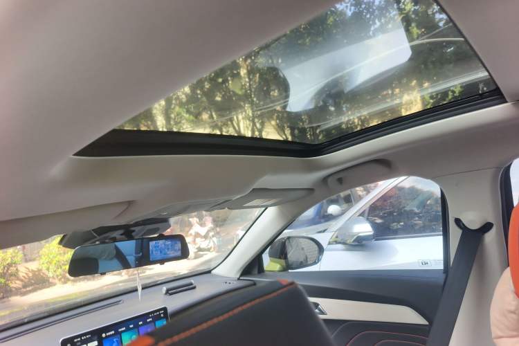 Used Haval LHERY 2021 High-Performance Version 1.5T Golden Rabbit Headliner