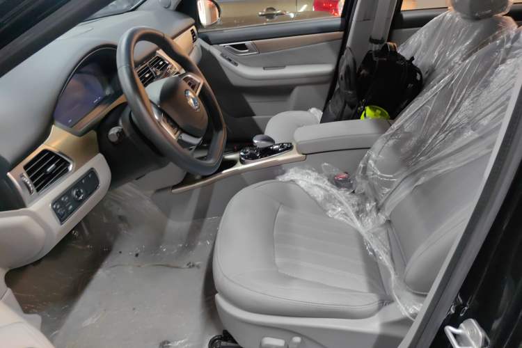 Used Denza 2018 450 Base Version
