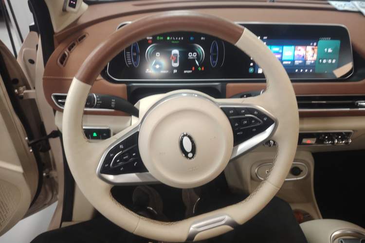 Used ORA Good Cat 2023 401 km Standard Range Prestige Version Lithium Iron Phosphate