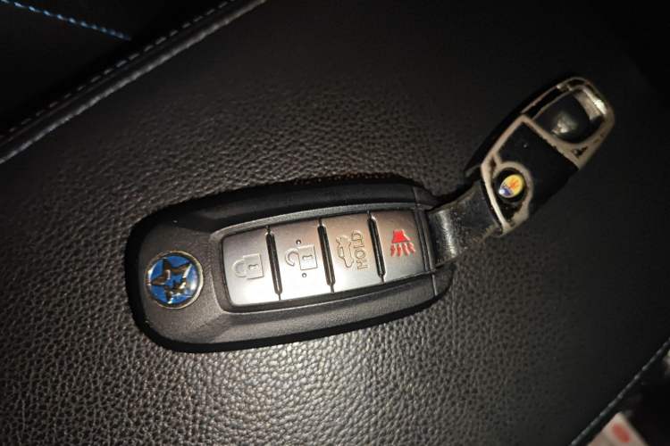 Used Venucia D60EV 2019 High-Range Travel Edition
