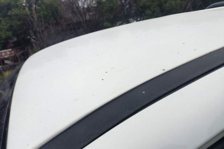 Used Great Wall Poer 2021 2.0T Commercial Version Automatic Diesel Two-Wheel Drive Elite Trim with Long Bed – GW4D20M
