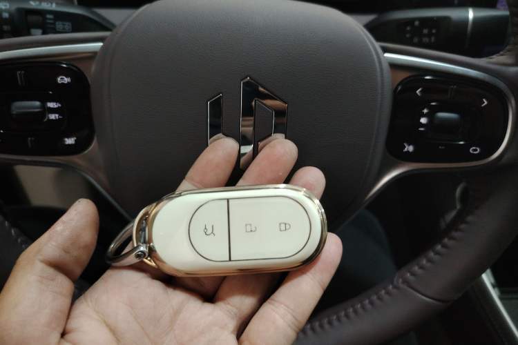 Used Leapmotor C11 2023 Pure Electric 500 Comfort Edition
