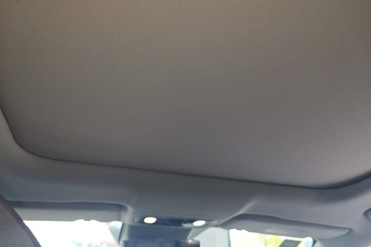 Used Leapmotor C11 2021 Revised Version Luxury Edition Headliner