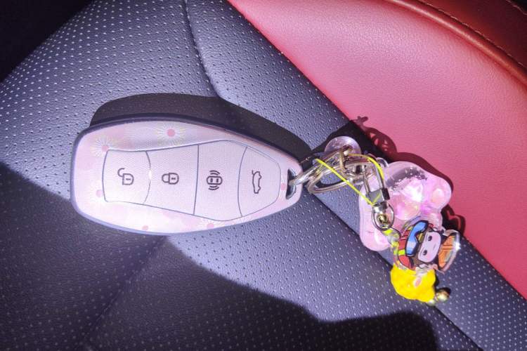 Used Hongqi HS3 2023 1.5T Two-Wheel Drive Shanwei Edition
