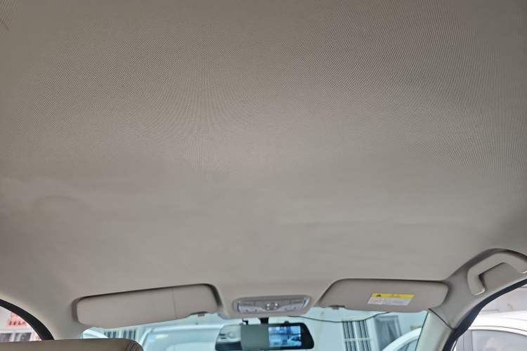 Used Dayun Yuehu 2023 230 Standard Edition
