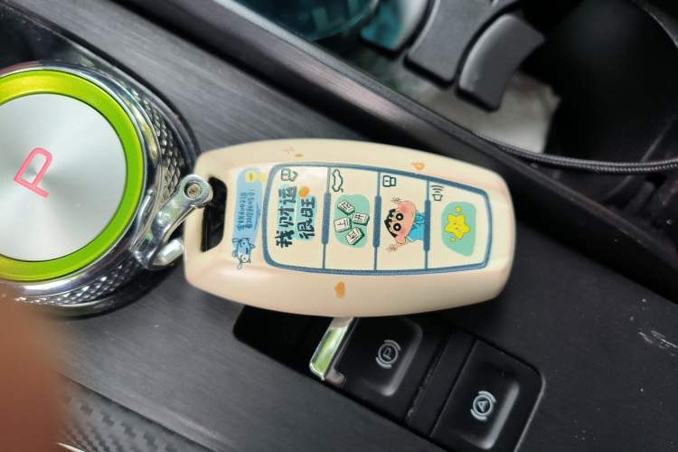 Used Haval H6S 2022 2.0T Two-Wheel Drive ZhiRun Version
