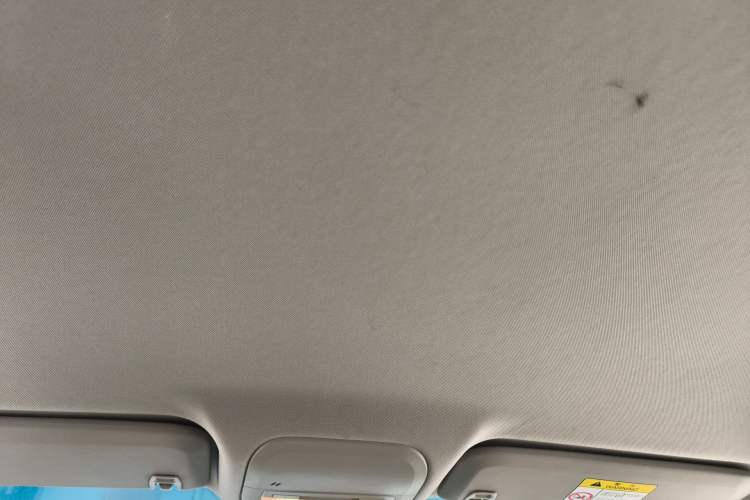 Used Chevrolet Monza 2020 320 Automatic Enjoyment Edition Headliner