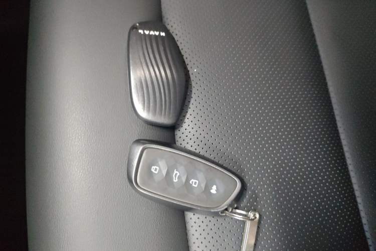 Used Haval H Dog 2023 2.0T All-Wheel-Drive Chaoye Plus
