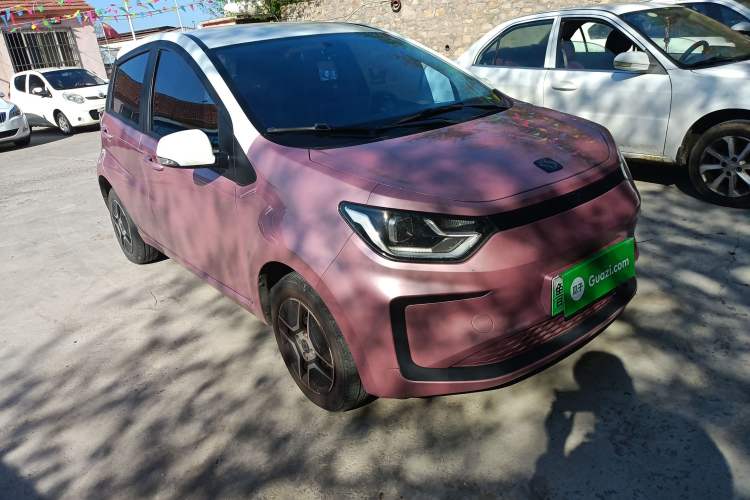 Used SOL E10X 2022 Flower Fairy Design Four-Leaf Clover Front Right 45 Deg