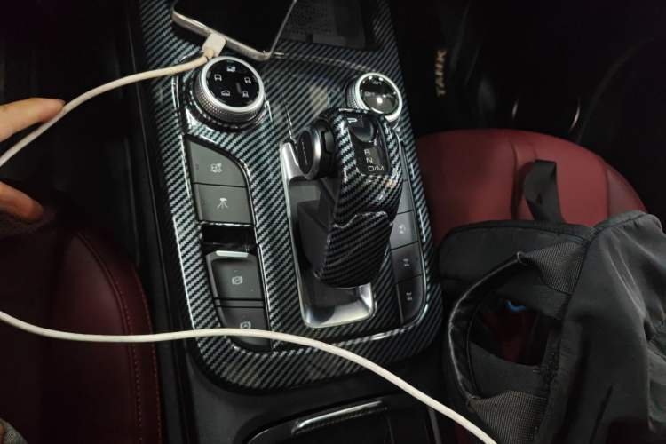 Used Tank 300 2024 2.0T Conqueror